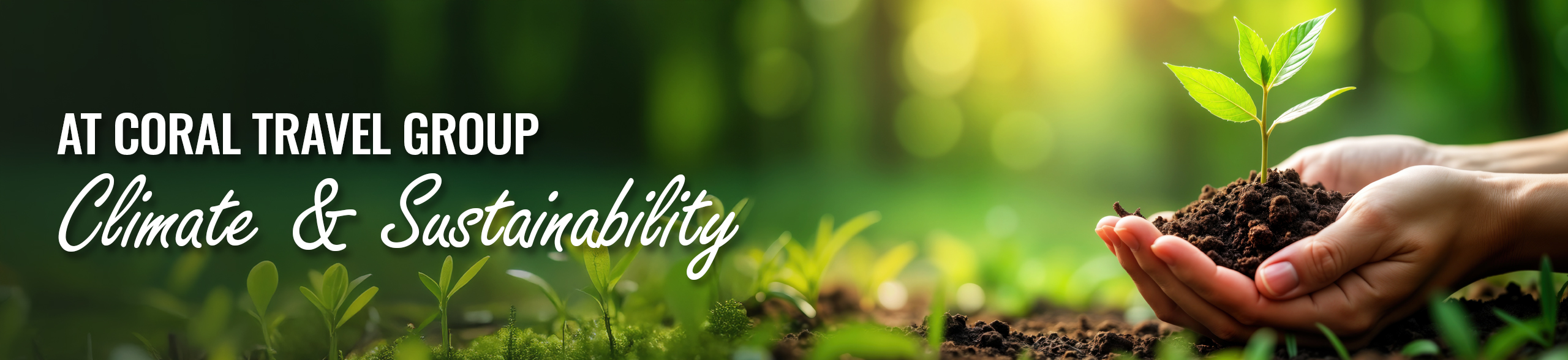 At Coral Travel Group: Climate and Sustainability — hands holding soil with a young seedling